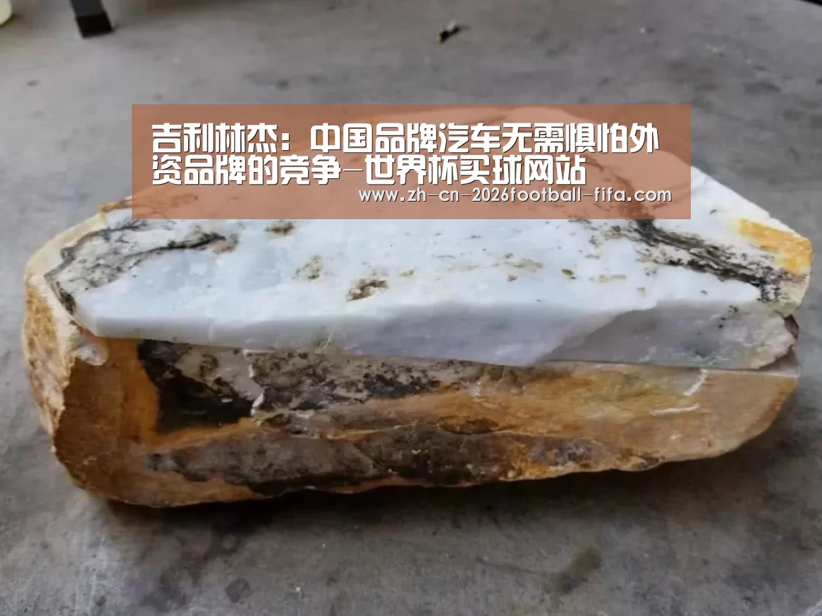 吉利林杰:中国品牌汽车无需惧怕外资品牌的竞争-世界杯买球网站(图1) 世界杯买球网站