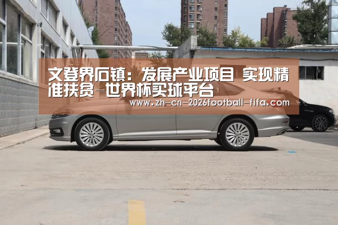 文登界石镇:发展产业项目 实现精准扶贫-世界杯买球平台(图2) 世界杯买球网站