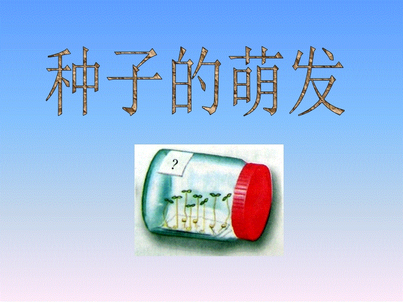 “世界杯买球平台”专家为学生 美丽“上保险”(图2) 世界杯买球网站