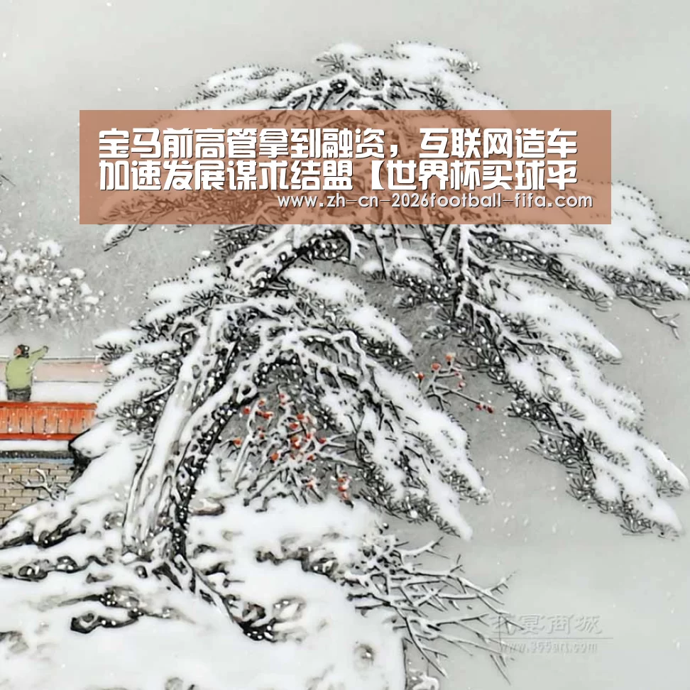 宝马前高管拿到融资,互联网造车加速发展谋求结盟【世界杯买球平台】(图3) 世界杯买球