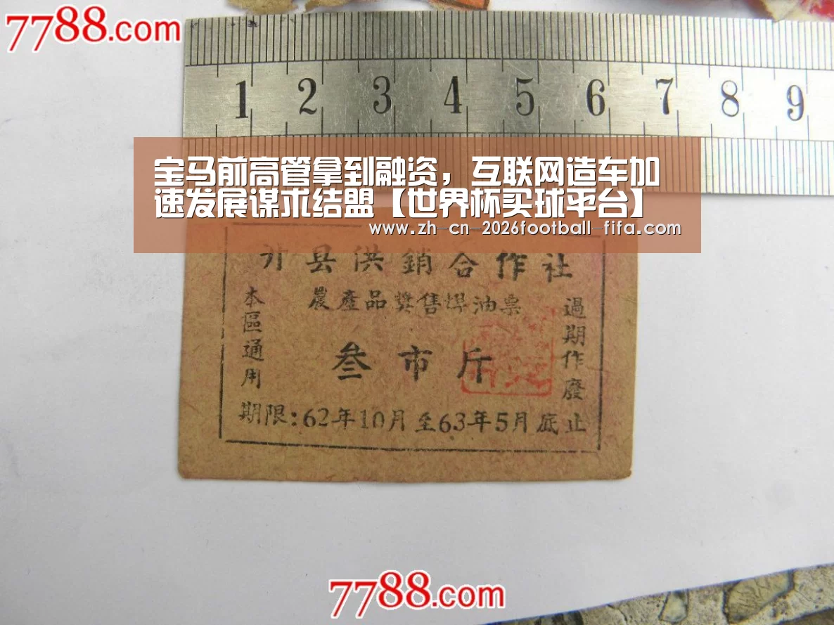 宝马前高管拿到融资,互联网造车加速发展谋求结盟【世界杯买球平台】(图2) 世界杯买球平台