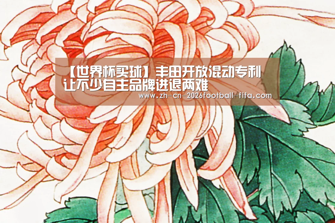 【世界杯买球】丰田开放混动专利 让不少自主品牌进退两难(图1) 世界杯买球
