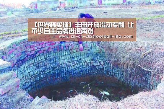 【世界杯买球】丰田开放混动专利 让不少自主品牌进退两难(图2) 世界杯买球