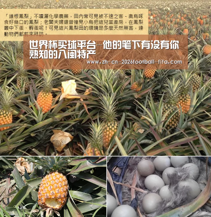 世界杯买球平台-他的笔下有没有你熟知的八闽特产(图1) 世界杯买球网站