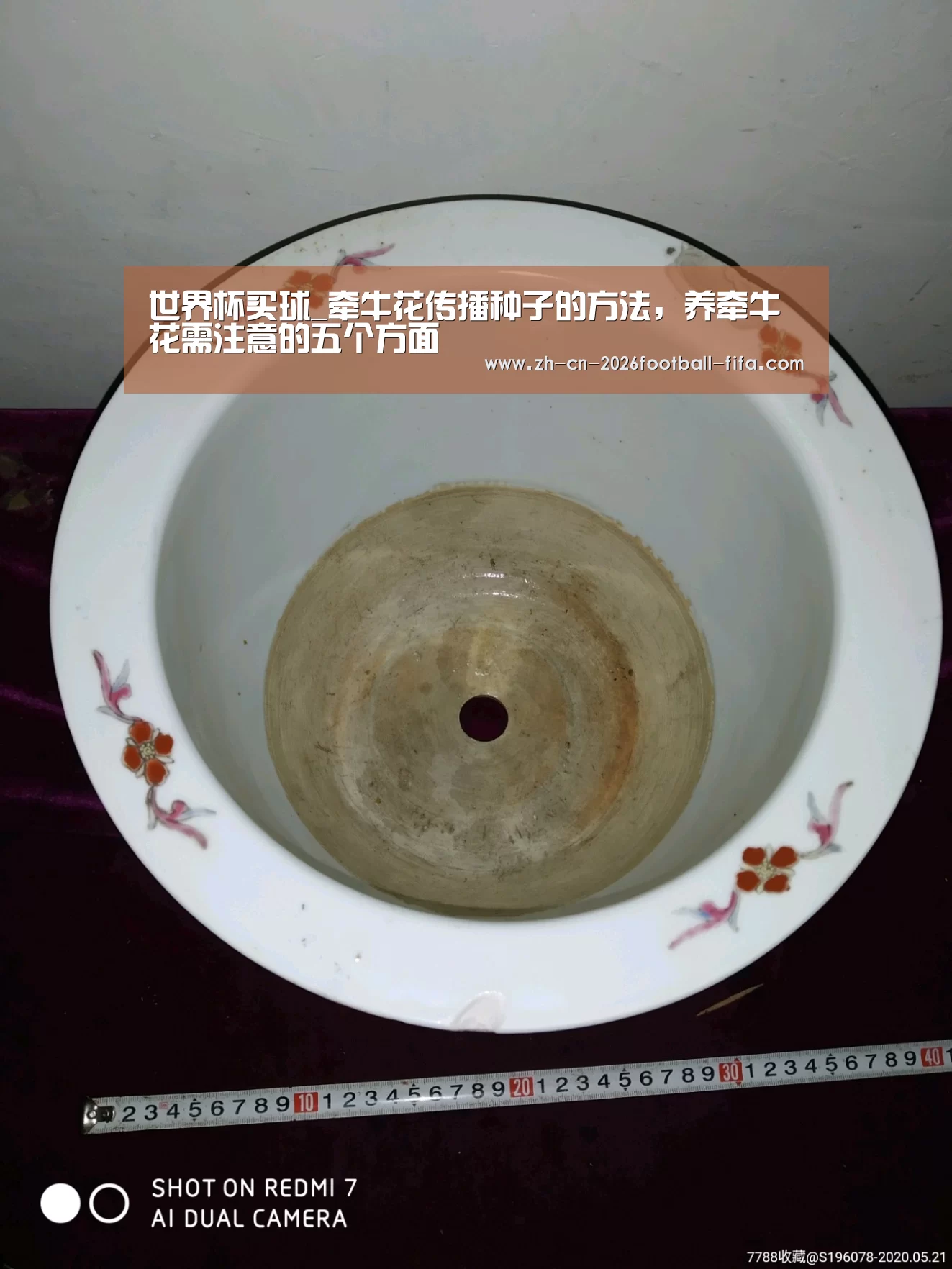 世界杯买球平台