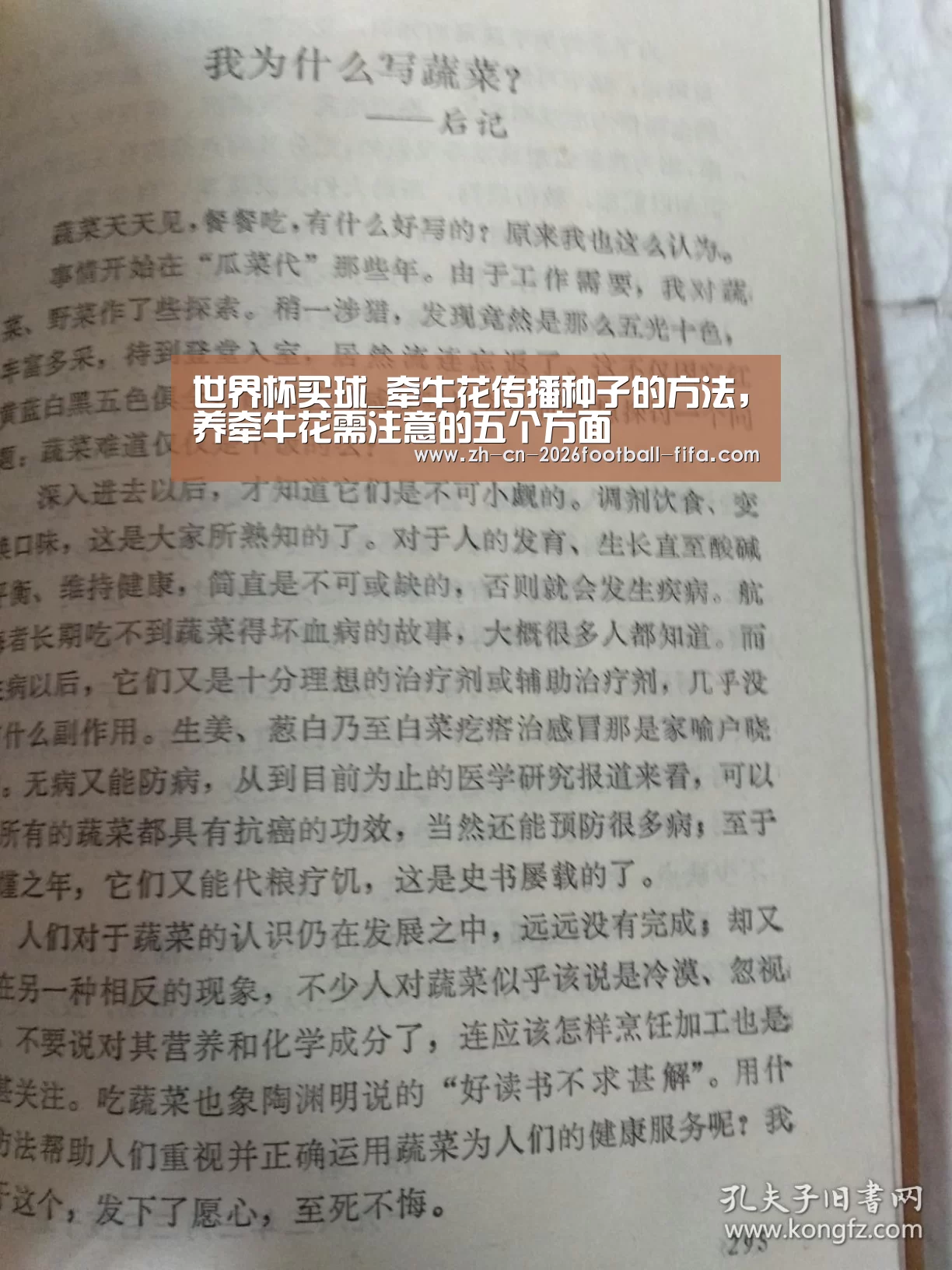 世界杯买球平台