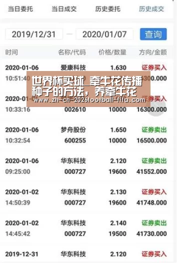 世界杯买球平台