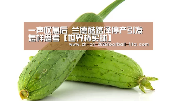 一声叹息后 兰德酷路泽停产引发怎样思考【世界杯买球】(图4) 世界杯买球平台