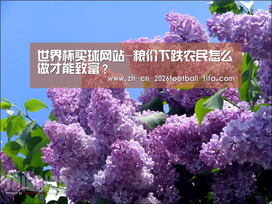 世界杯买球网站-粮价下跌农民怎么做才能致富?(图1) 世界杯买球平台
