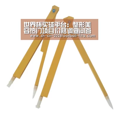 世界杯买球